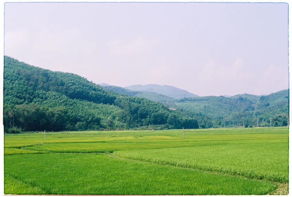 Kho gạo của Võ Thị Thuận